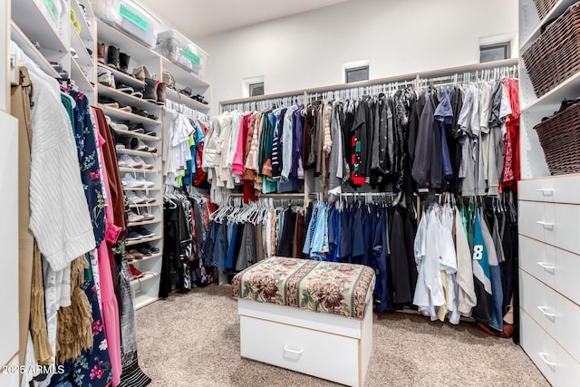 walk in closet with carpet