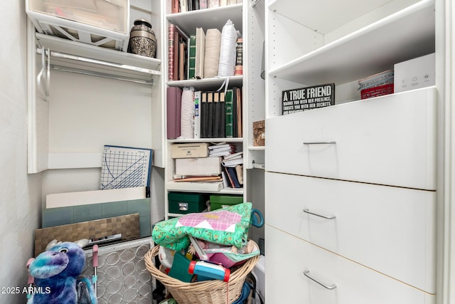 view of walk in closet