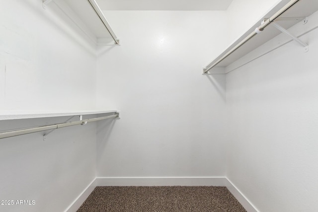 spacious closet with carpet