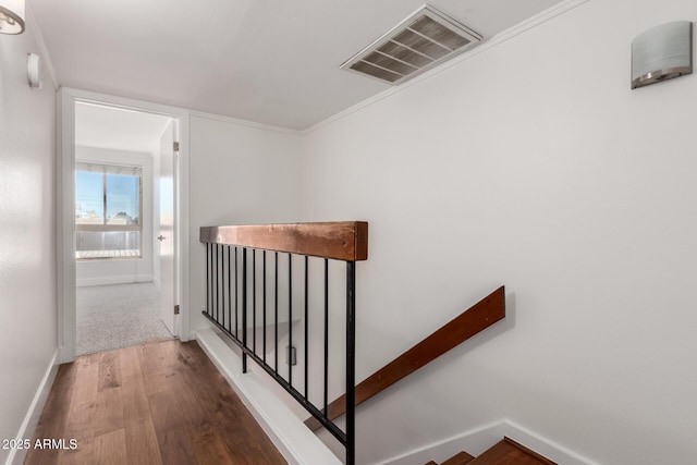 hallway featuring ornamental molding and hardwood / wood-style floors