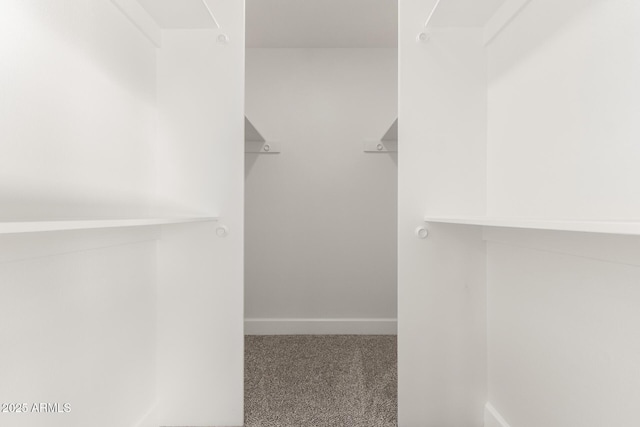 spacious closet featuring carpet floors