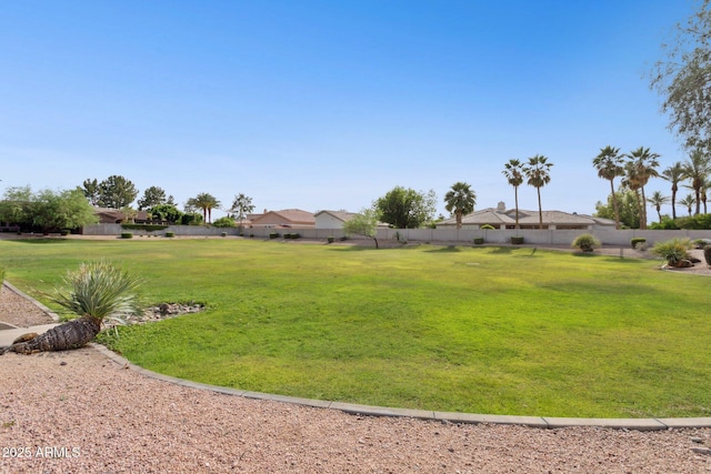 6428 W Eugie Ave, Glendale, AZ 85304 - view of yard