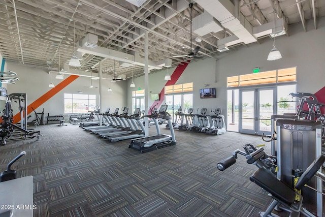 10127 E Tillman Ave, Mesa, AZ 85212 - workout area with a high ceiling, french doors, carpet floors, and healthy amount of natural light