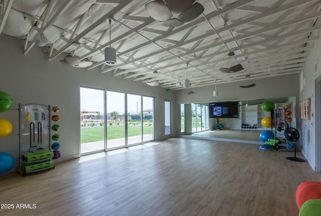 10127 E Tillman Ave, Mesa, AZ 85212 - exercise area featuring wood finished floors