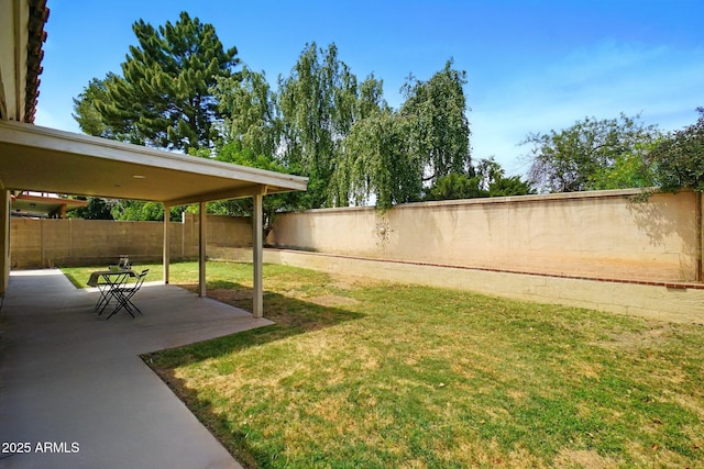 view of yard featuring a fenced backyard and a patio