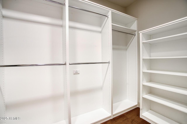 spacious closet featuring dark wood-type flooring