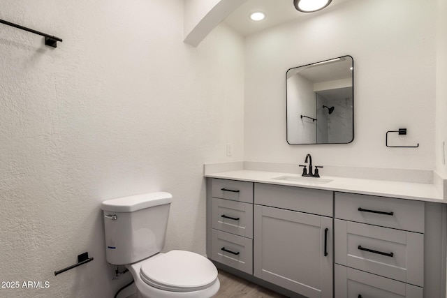 bathroom with toilet and vanity