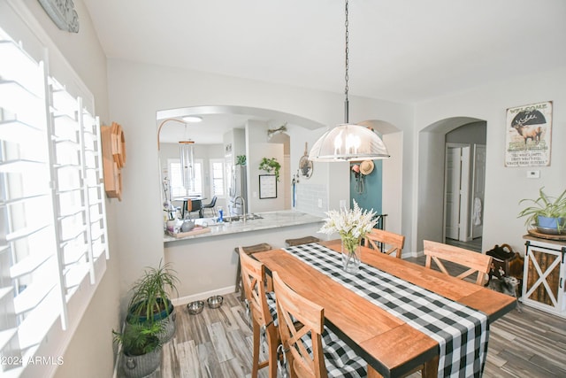 dining room featuring sink and hardwood / wood-style floors