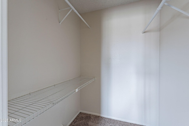 walk in closet with carpet floors