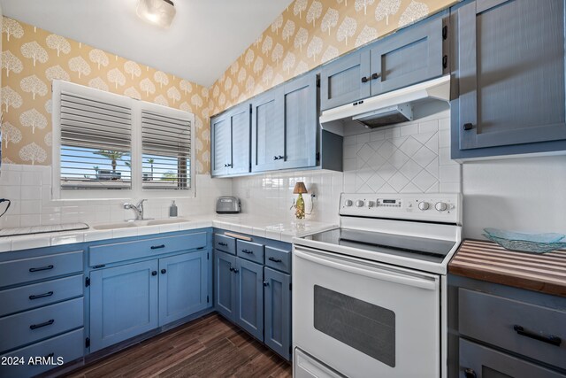 kitchen featuring sink, tasteful backsplash, white electric stove, and dark hardwood / wood-style flooring