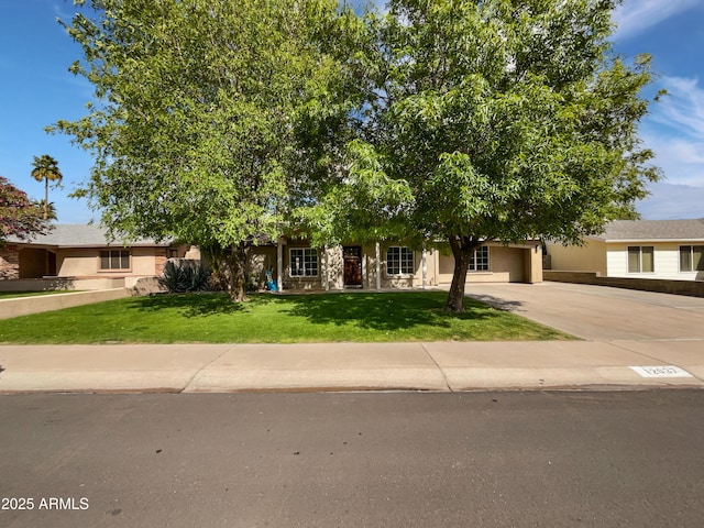 view of property hidden behind natural elements with stucco siding, concrete driveway, and a front yard