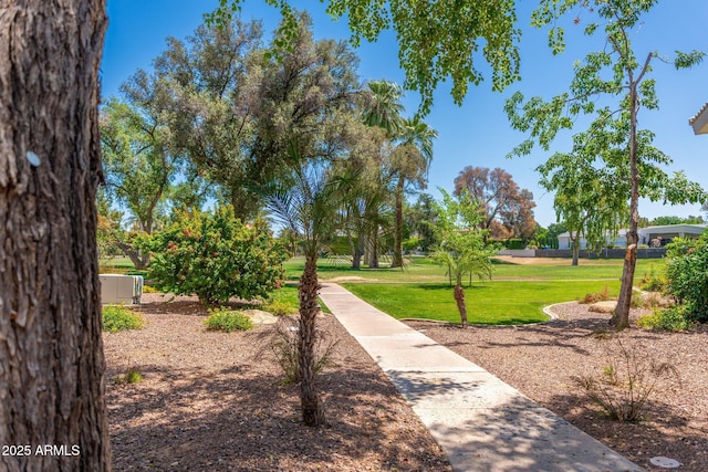 5221 N 24th St Unit 103, Phoenix, AZ 85016 - view of property's community with a yard