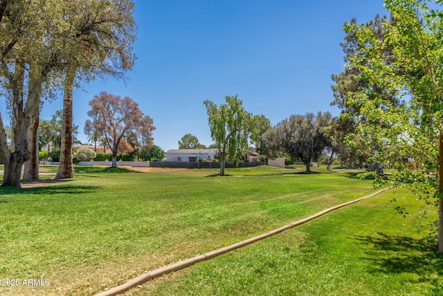 5221 N 24th St Unit 103, Phoenix, AZ 85016 - view of grassy yard