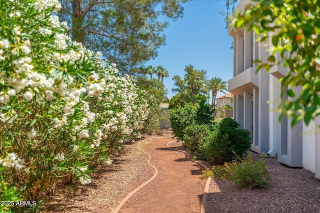 5221 N 24th St Unit 103, Phoenix, AZ 85016 - view of yard