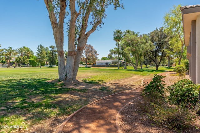 5221 N 24th St Unit 103, Phoenix, AZ 85016 - view of property's community with a yard