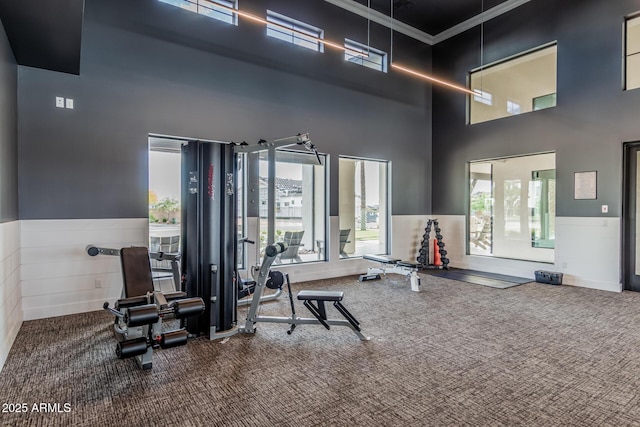 exercise room featuring carpet floors, ornamental molding, a wainscoted wall, and a towering ceiling