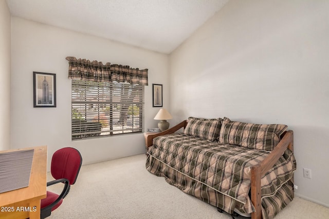 bedroom featuring carpet flooring