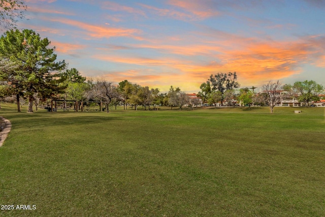 view of property's community with a yard