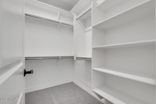 spacious closet featuring carpet