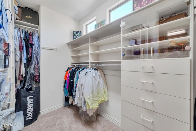 spacious closet with light colored carpet