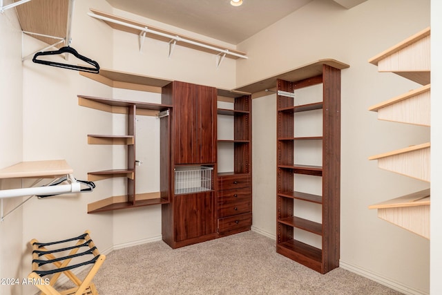 spacious closet featuring light colored carpet