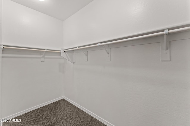 spacious closet featuring carpet flooring