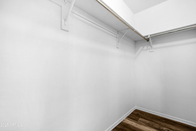 spacious closet with dark wood-style flooring