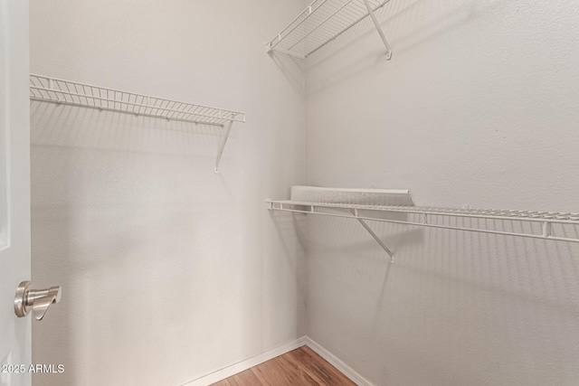 spacious closet featuring wood finished floors