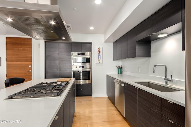 kitchen featuring light wood-type flooring, stainless steel appliances, island range hood, and sink