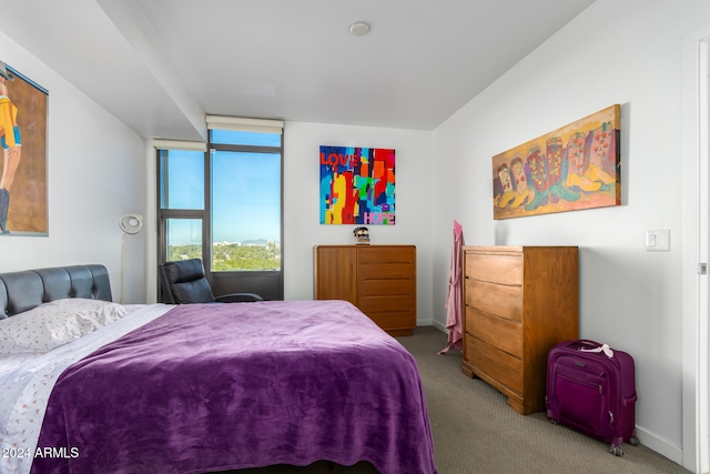 bedroom with light colored carpet