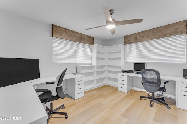 office space with light hardwood / wood-style floors and ceiling fan