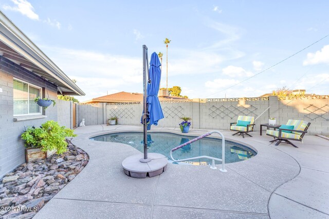 view of pool with a patio area