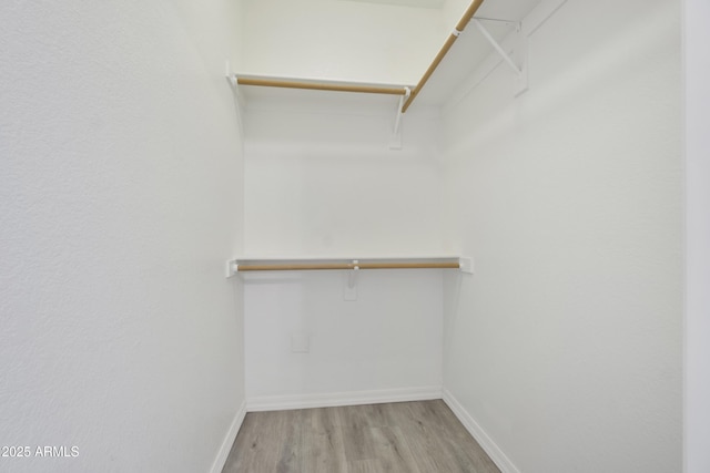 spacious closet featuring wood finished floors