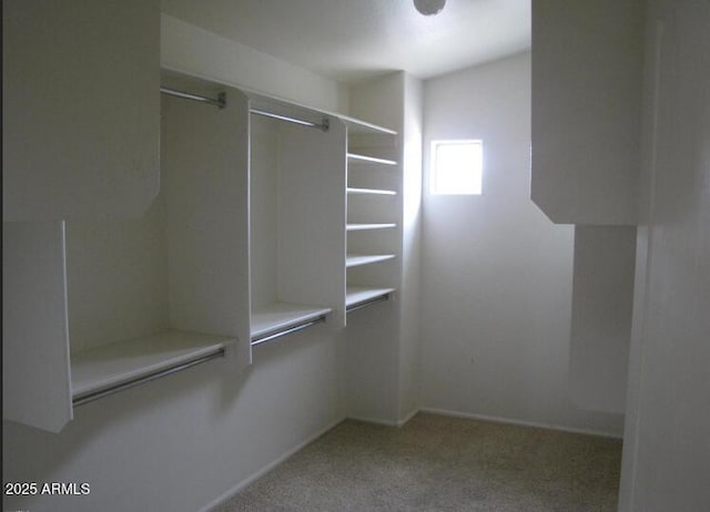 spacious closet featuring light carpet