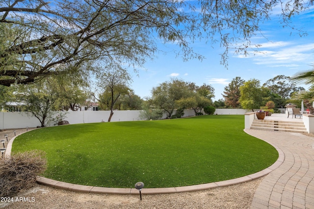 view of yard featuring a patio area