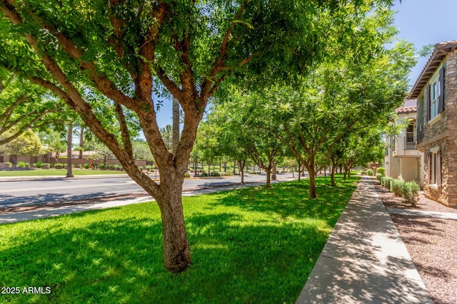 905 S Osborn Ln, Gilbert, AZ 85296 - view of property's community with a yard