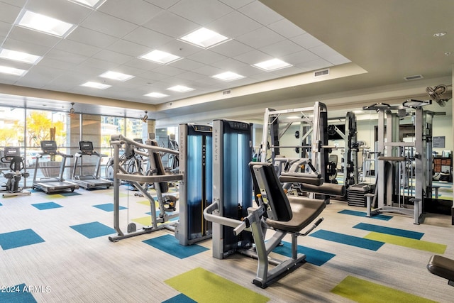 exercise room featuring light colored carpet and a paneled ceiling