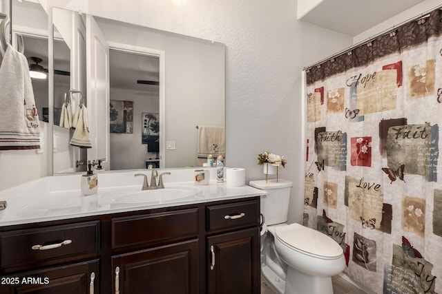 full bathroom featuring vanity, toilet, and a shower with curtain