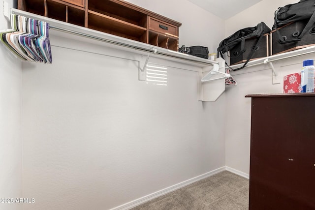 walk in closet with carpet flooring