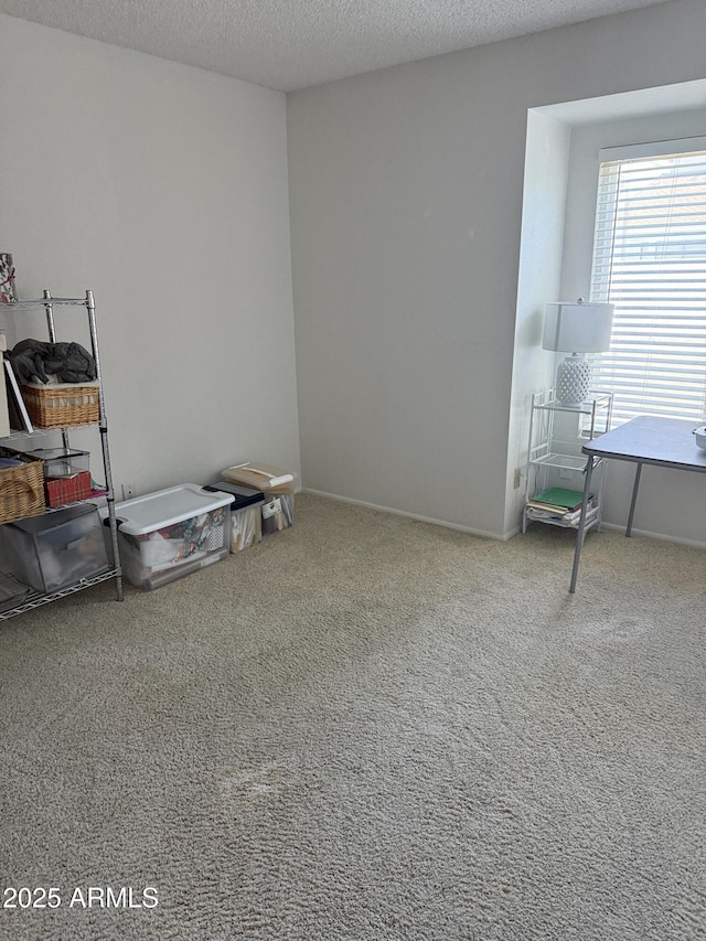 interior space with carpet and a textured ceiling