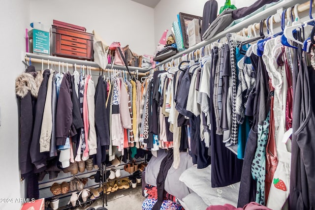 walk in closet featuring carpet