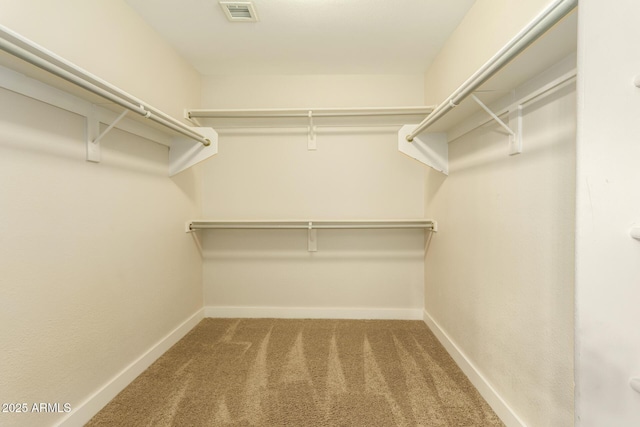 walk in closet featuring carpet floors