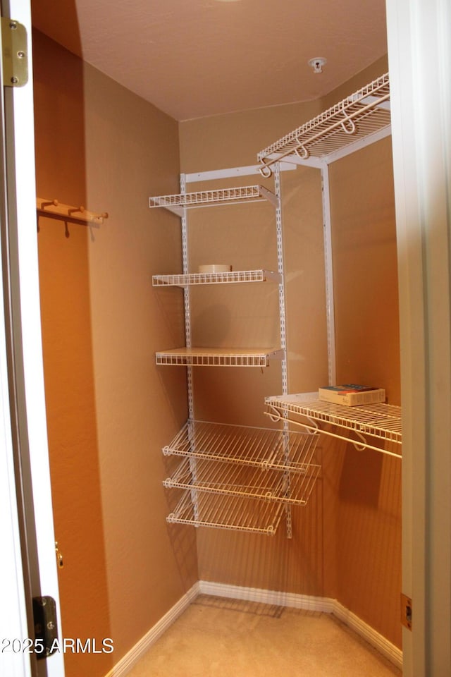 34464 N 68th Way, Scottsdale, AZ 85266 - walk in closet with carpet flooring