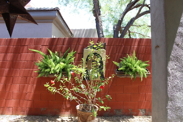 34464 N 68th Way, Scottsdale, AZ 85266 - view of yard