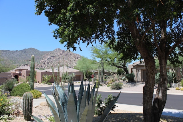34464 N 68th Way, Scottsdale, AZ 85266 - view of yard with a mountain view