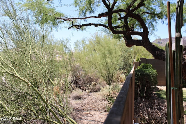 34464 N 68th Way, Scottsdale, AZ 85266 - view of yard
