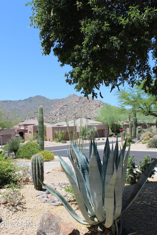 34464 N 68th Way, Scottsdale, AZ 85266 - view of yard featuring a mountain view