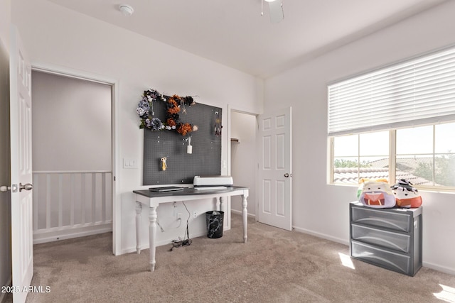 932 W Capulin Trl, San Tan Valley, AZ 85140 - home office with carpet and baseboards