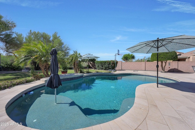 26647 N 43rd St N, Cave Creek, AZ 85331 - view of pool
