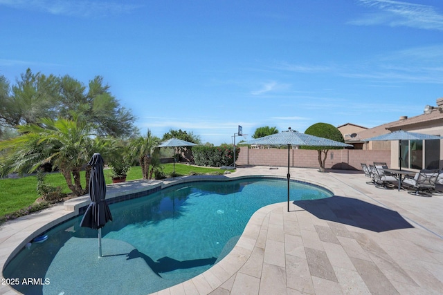 26647 N 43rd St N, Cave Creek, AZ 85331 - view of pool with a patio area
